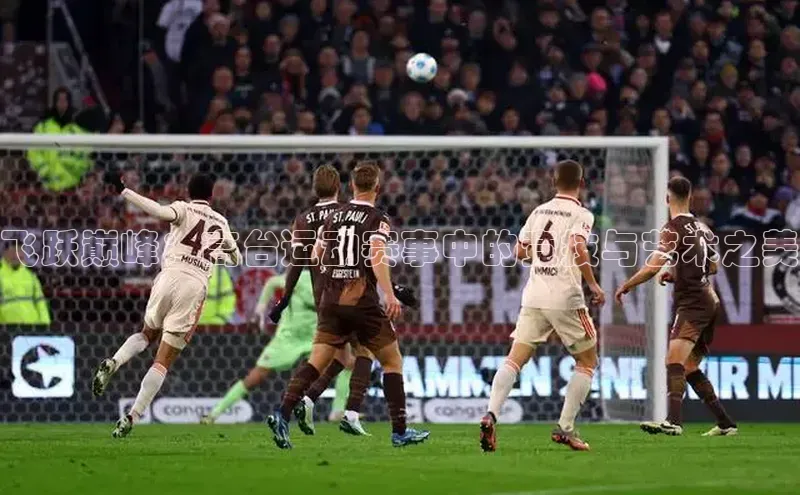 门徒娱乐平台登录入口