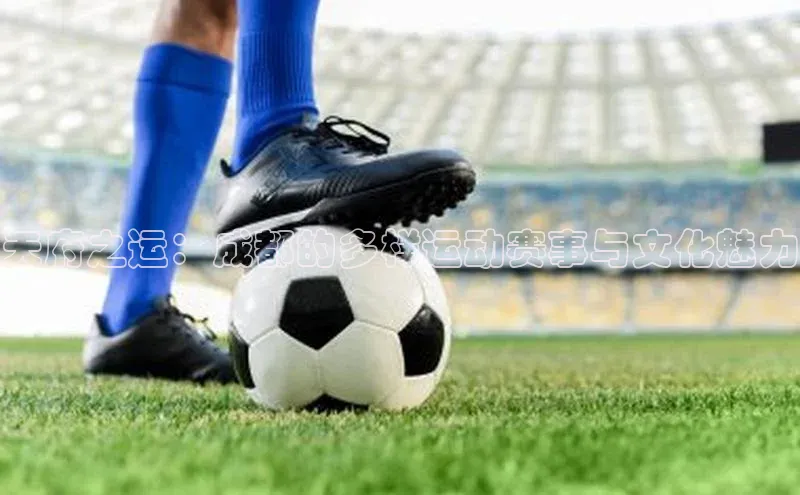 门徒娱乐平台登录入口