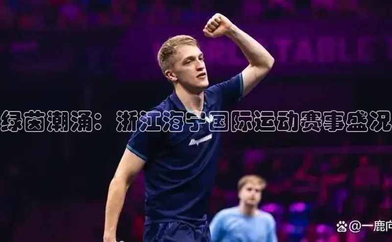 门徒娱乐在线登录